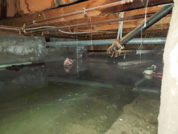 Best Basement water damage restoration  in Moorpark, CA