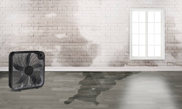 Best Professional water damage repair  in Moorpark, CA