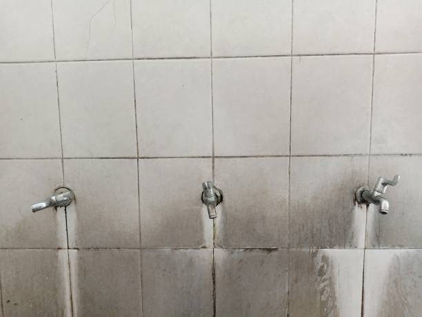 Best Carpet water damage restoration  in Moorpark, CA