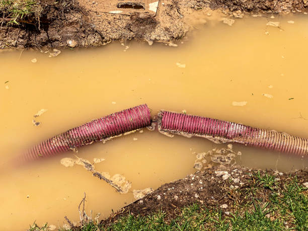 Best 24-hour water damage restoration  in Moorpark, CA